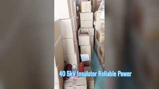 Van dichterbij bekeken: 40,5 kV hoogspanning epoxyhars isolatieschild uitloopbussen 660 mm hoog