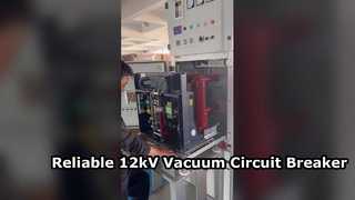 Introduceer voor u een 12 kV hoogspannings-binnenvacuümstroomonderbreker, aan de zijkant gemonteerd 630A-1250A