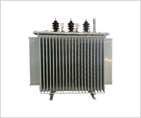 11kv/800kVA Driefasige olie ondergedompelde krachttransformator